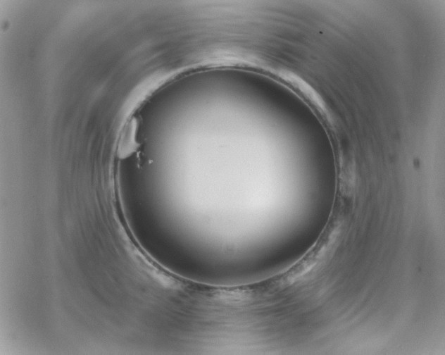 X0000070241191200606051117