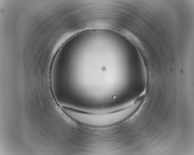 X0000070241192200606051117