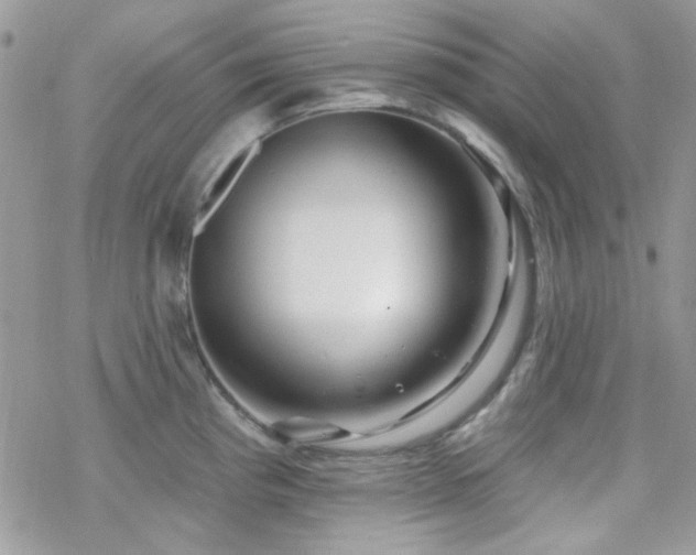 X0000070241193200606051117