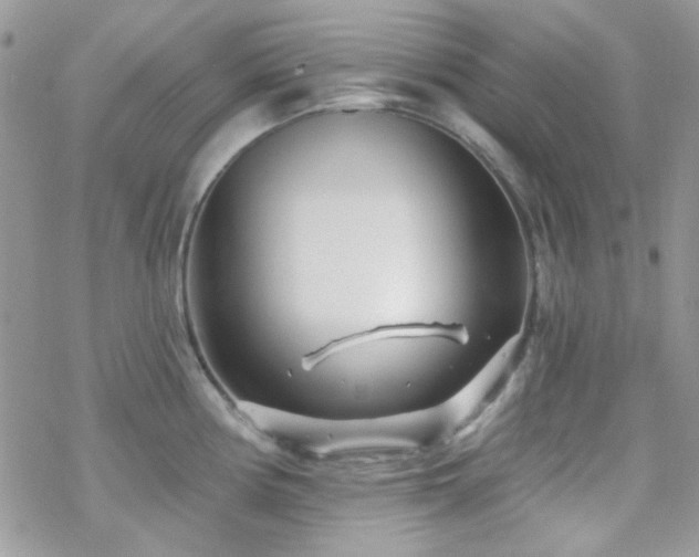 X0000070241194200606051117