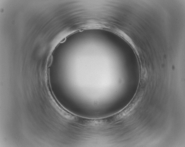 X0000070241195200606051117