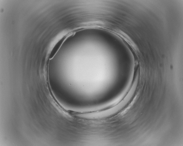 X0000070241196200606051117