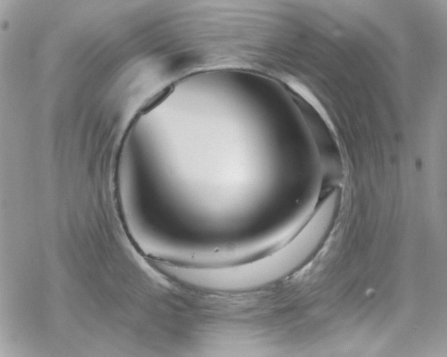 X0000070241197200606051117