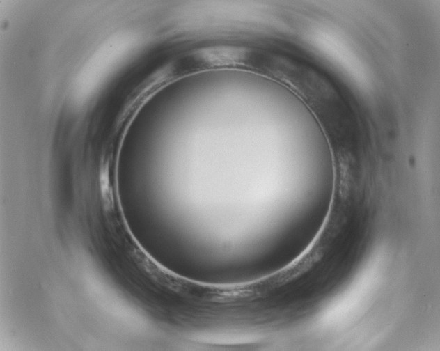 X0000070241198200606051117