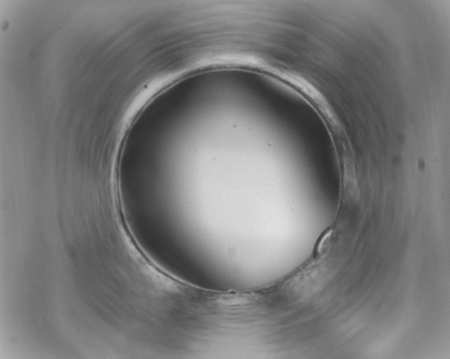 X0000070241199200606051117