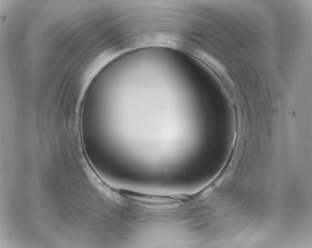 X0000070241200200606051117