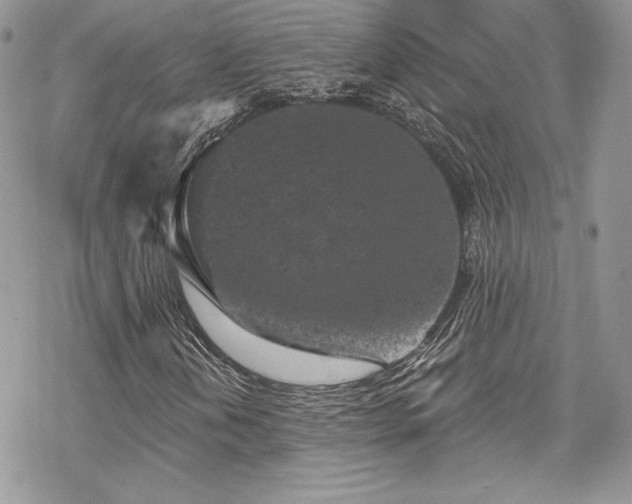 X0000070241202200606051116