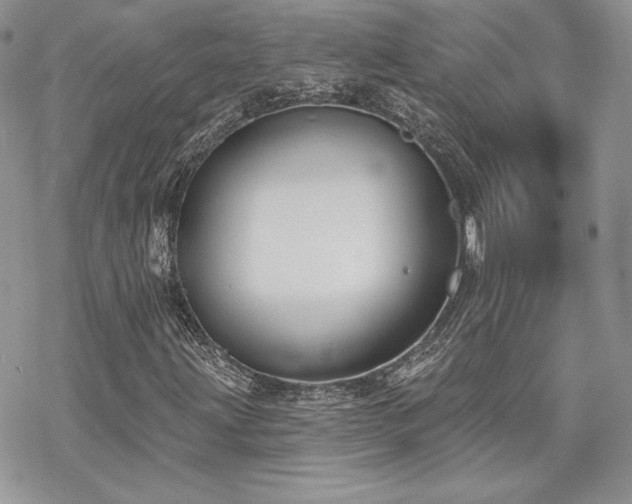 X0000070241203200606051116