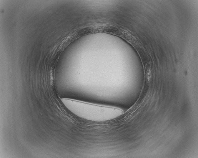 X0000070241204200606051116