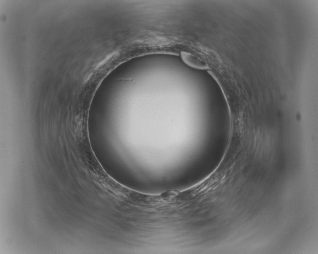 X0000070241205200606051116