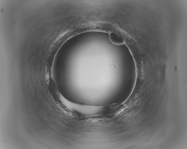 X0000070241206200606051116