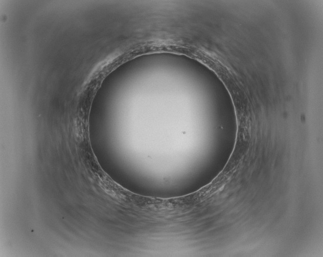 X0000070241207200606051116