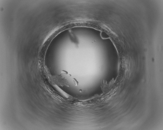 X0000070241208200606051116