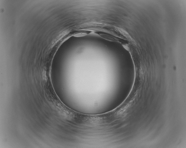 X0000070241209200606051116