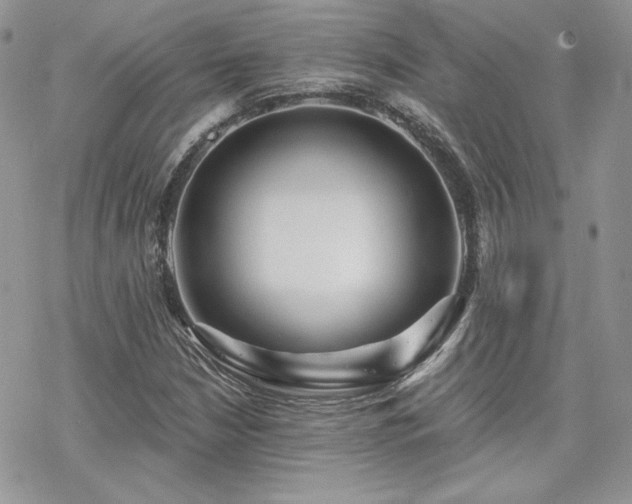 X0000070241210200606051116