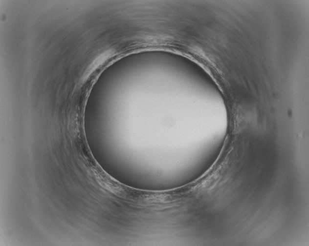 X0000070241211200606051116