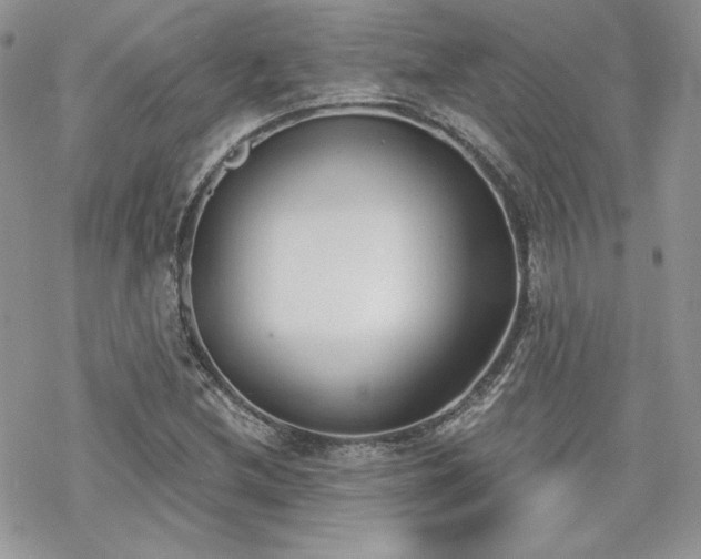 X0000070241212200606051116