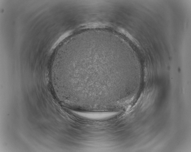 X0000070241213200606051116