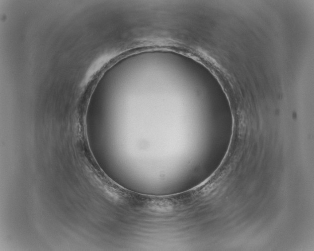 X0000070241215200606051116