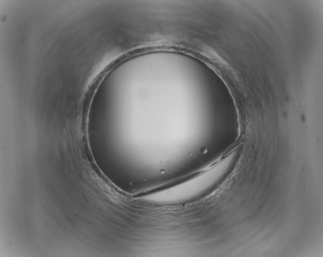 X0000070241216200606051116