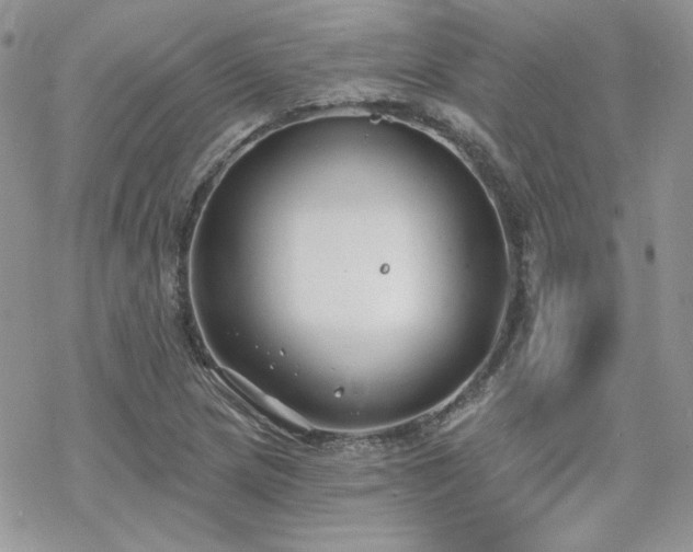 X0000070241217200606051116