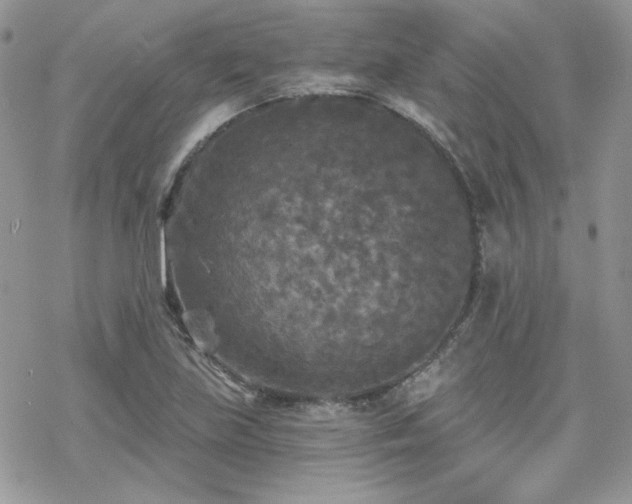 X0000070241219200606051116