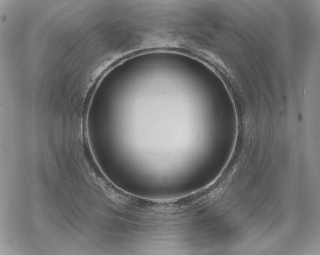 X0000070241220200606051116