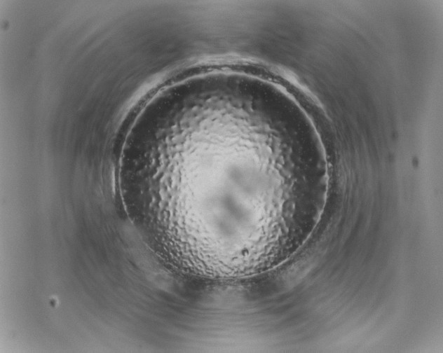 X0000070241221200606051116