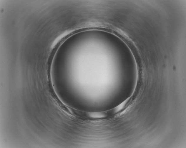 X0000070241222200606051116