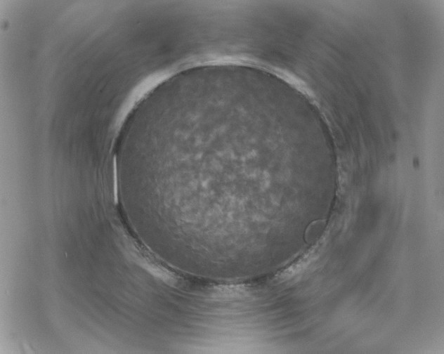 X0000070241223200606051116