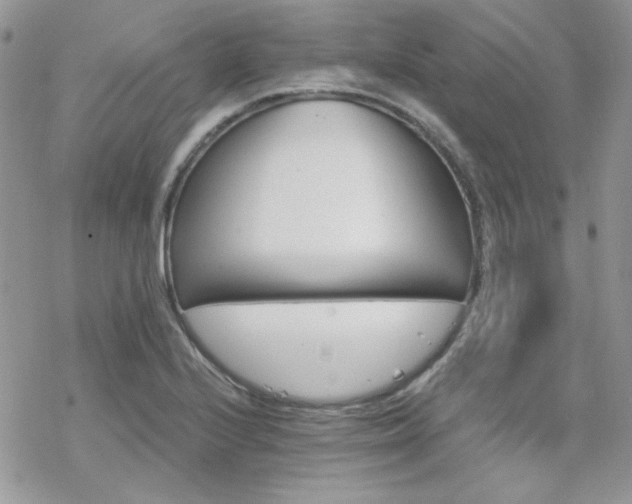 X0000070241224200606051116