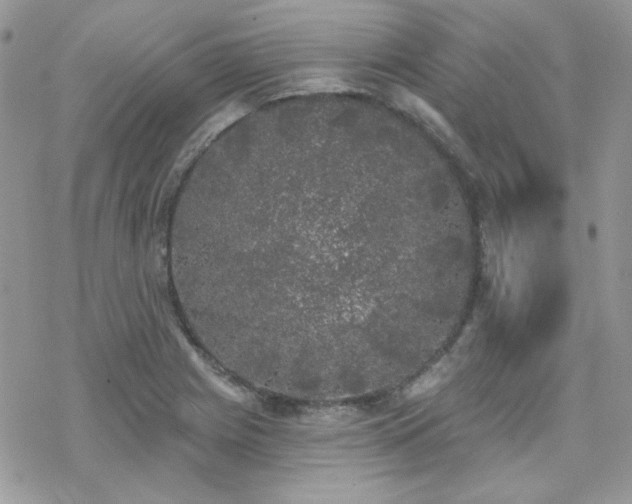 X0000070241225200606051116