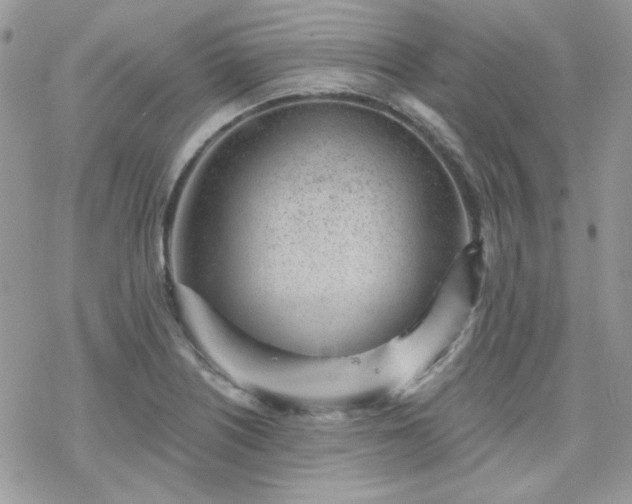 X0000070241226200606051116