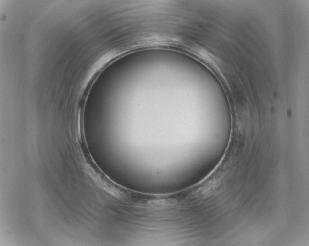 X0000070241227200606051116