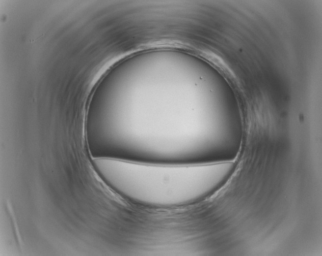 X0000070241228200606051116