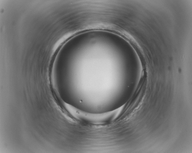 X0000070241230200606051117