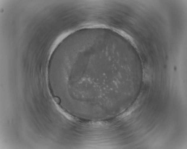 X0000070241231200606051117