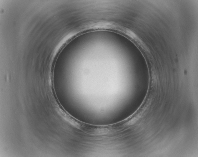 X0000070241232200606051117