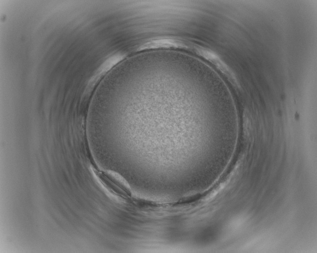 X0000070241233200606051117