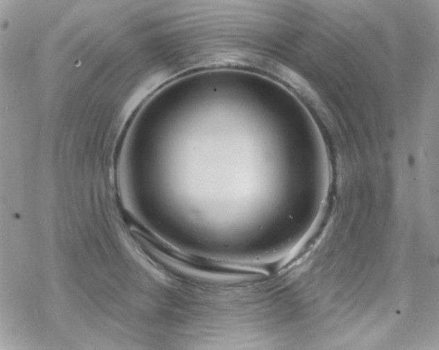 X0000070241234200606051117