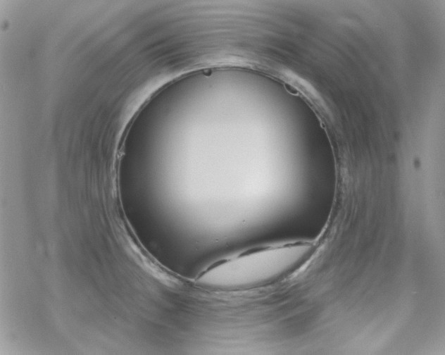 X0000070241236200606051117