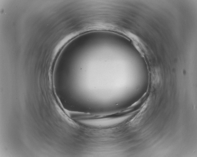 X0000070241238200606051117