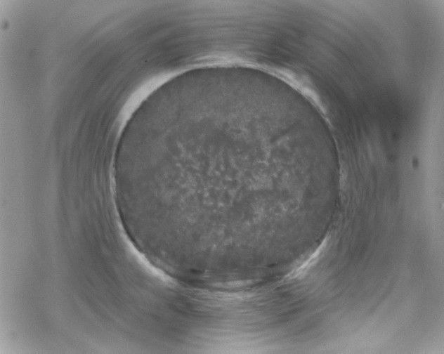 X0000070241239200606051117