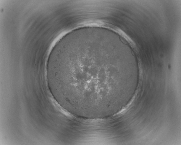 X0000070241240200606051117