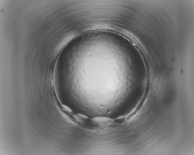 X0000070241241200606051117