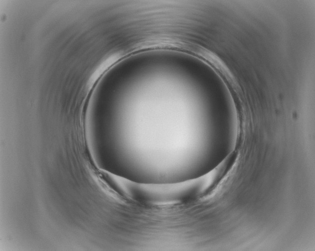 X0000070241242200606051117