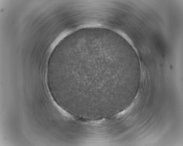 X0000070241245200606051117