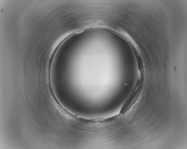 X0000070241246200606051117