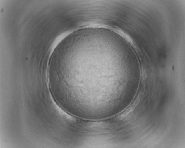 X0000070241247200606051117