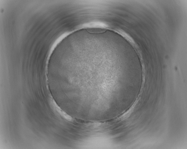 X0000070241248200606051117